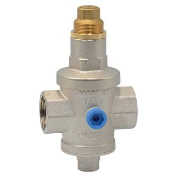 504.21/2 Редуктор понижения давления FF (INOX седло) &Oslash;2 1/2&Prime; Max. 25 bar 120&deg; 1&divide;6 bar FARG srl 25597 фото